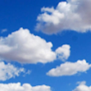 Meet your Posher, Claire